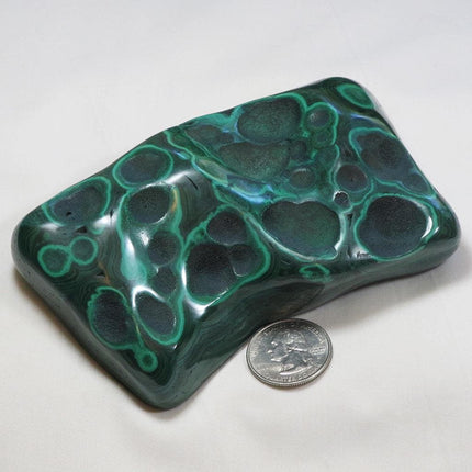Polished Malachite Free Form from Congo