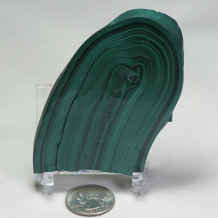 Polished Malachite Slice from the Congo