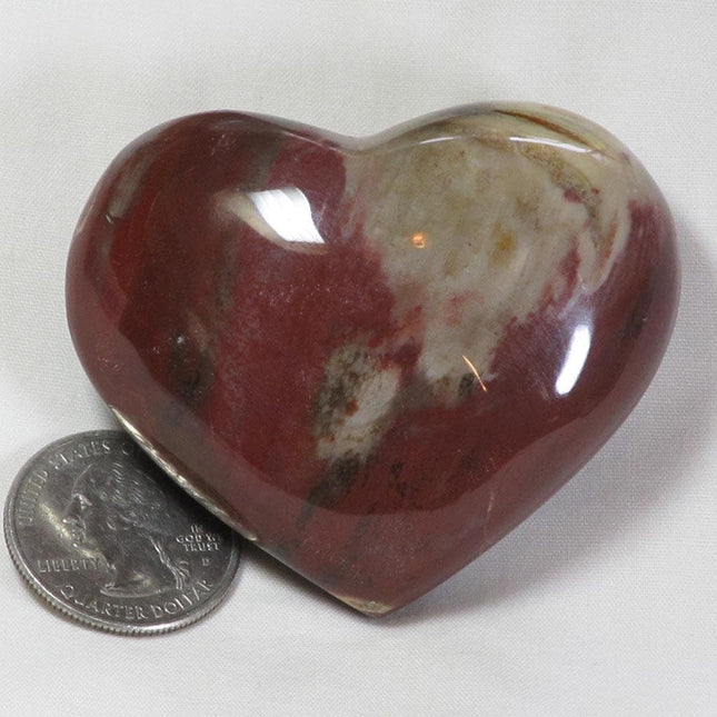 Polished Petrified Wood Heart from Madagascar