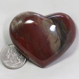 Polished Petrified Wood Heart from Madagascar