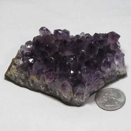 Amethyst Cluster from Uruguay 