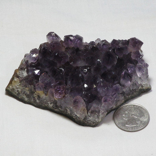 Amethyst Cluster from Uruguay 