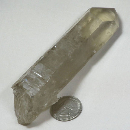 Smoky Quartz Crystal Point with Time-Link Activation from Brazil