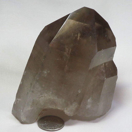 Smoky Quartz Crystal Point w/ Rainbows & Chlorite Included from Brazil