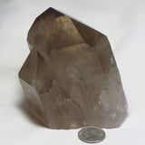 Smoky Quartz Crystal Point w/ Rainbows & Chlorite Included from Brazil