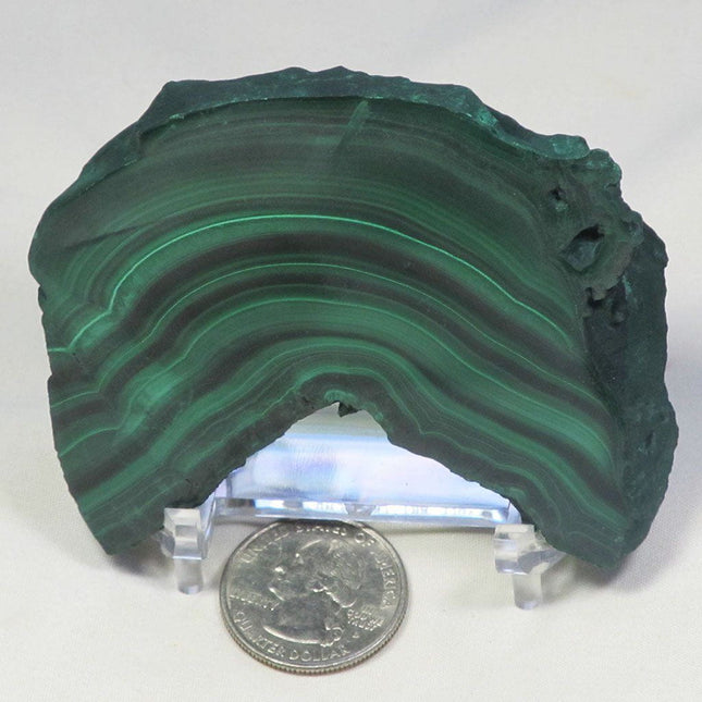 Polished Malachite Slice from Democratic Republic of Congo