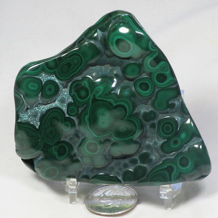 Polished Malachite Free Form from Democratic Republic of Congo