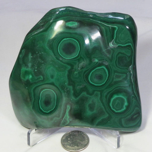 Polished Malachite Free Form from Democratic Republic of Congo
