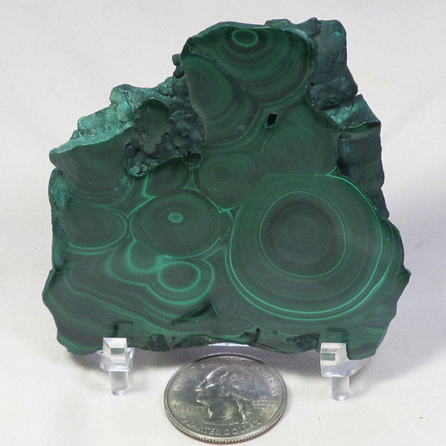 Polished Malachite Slice from Democratic Republic of Congo
