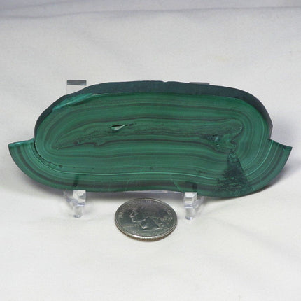 Polished Malachite Slice from Democratic Republic of Congo