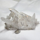 Arkansas Natural Smoky Quartz Crystal Cluster