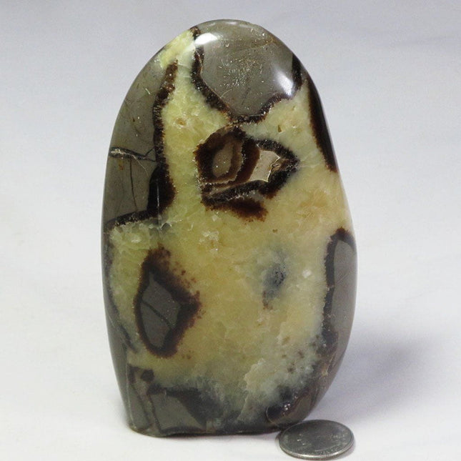 Polished Septarian Nodule Free Form from Madagascar