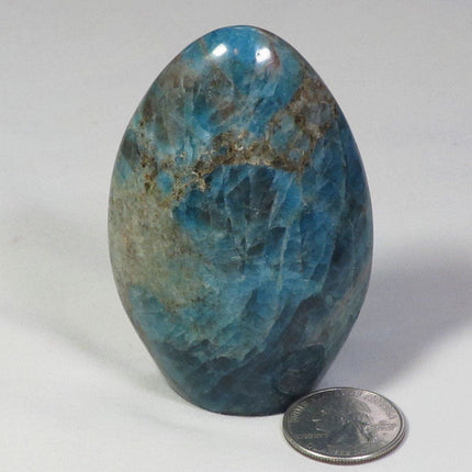 Polished Blue Apatite Free Form from Madagascar