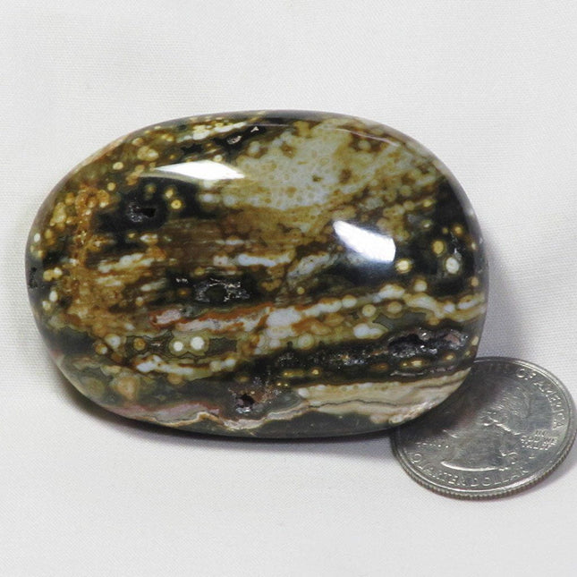 Polished Ocean Jasper Palm Stone from Madagascar