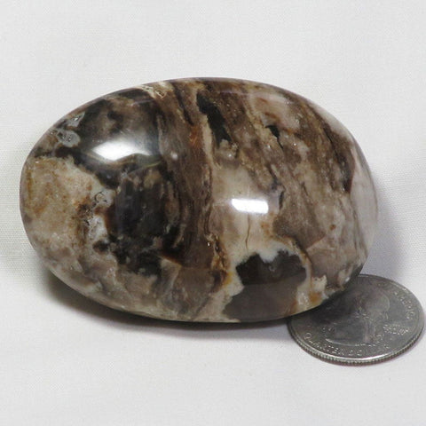 Polished Black Opal Palm Stone from Madagascar