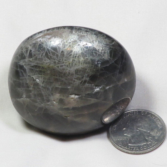 Polished Black Moonstone Palm Stone from Madagascar