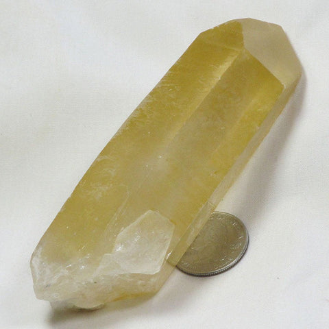 Golden Lemurian Seed Quartz Crystal Point from Brazil