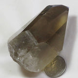 Smoky Quartz Crystal Point with Rainbow & Time-Link from Brazil