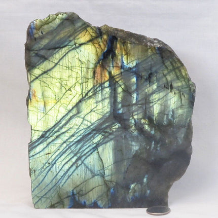 1 Side Polished Labradorite Slab from Madagascar