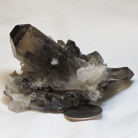 Smoky Quartz Crystal Cluster with Tabby from Brazil
