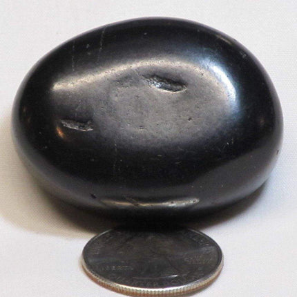 Type 2 Shungite Puffed Palm Stone from Russia (Shipped from USA)