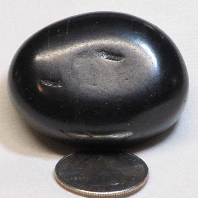 Type 2 Shungite Puffed Palm Stone from Russia (Shipped from USA)