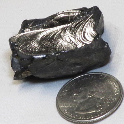 Elite Silver or Noble Shungite from Russia (Shipped from USA)