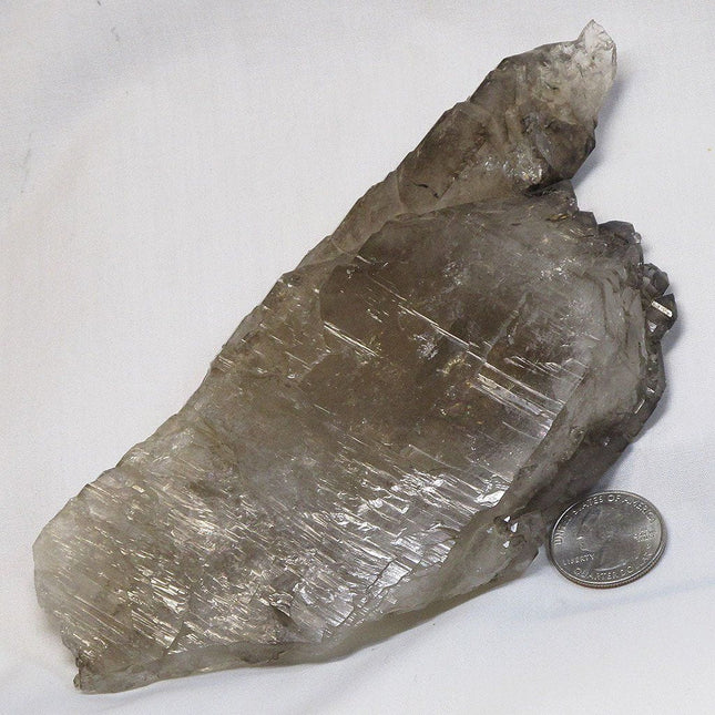 Smoky Quartz Crystal Elestial from Brazil