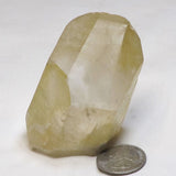 Gold Lemurian Quartz Crystal Point from Brazil