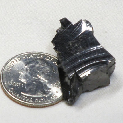 Elite Silver or Noble Shungite from Russia (Shipped from USA)