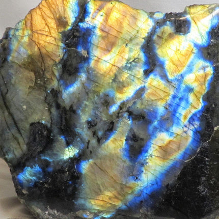 1 Side Polished Labradorite from Madagascar