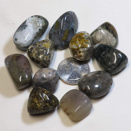 1/4 Lb of Tumbled Ocean Jasper from Madagascar