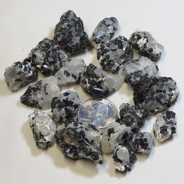 1/4 Lb. Black Tourmaline in Quartz from Brazil