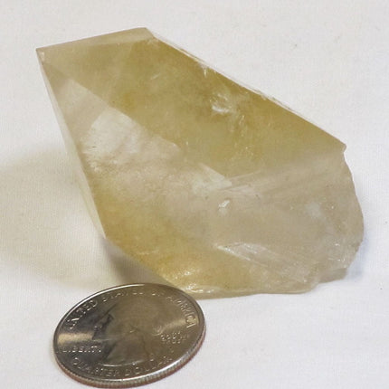 Golden Lemurian Seed Quartz Crystal Point from Brazil