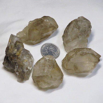 5 Smoky Quartz Crystal Elestial Sceptre Heads from Brazil