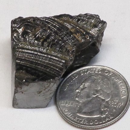 Elite Silver or Noble Shungite from Russia (Shipped from USA)