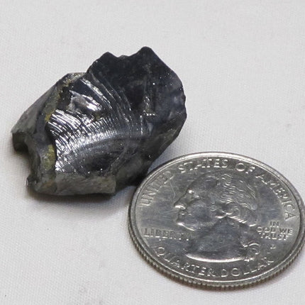Elite Silver or Noble Shungite from Russia (Shipped from USA)
