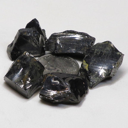 5 Elite Silver or Noble Shungite Pieces from Russia (Shipped from USA)