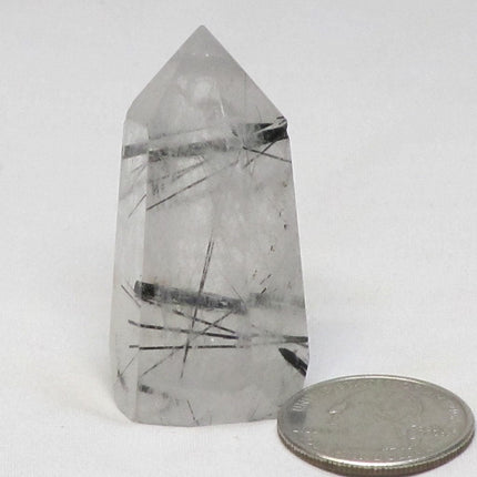 Polished Black Tourmaline in Quartz Point from Brazil
