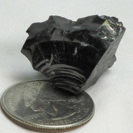 Elite Silver or Noble Shungite from Russia (Shipped from USA)
