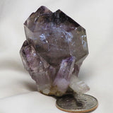 Shangaan Amethyst Cluster with Sceptre Points from Zimbabwe