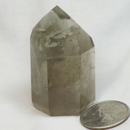 Polished Lodolite Smoky Quartz Crystal Point with Rutile Included