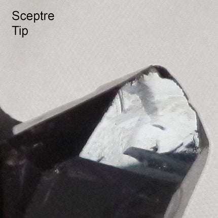 Shangaan Amethyst Double Terminated Point with Sceptre