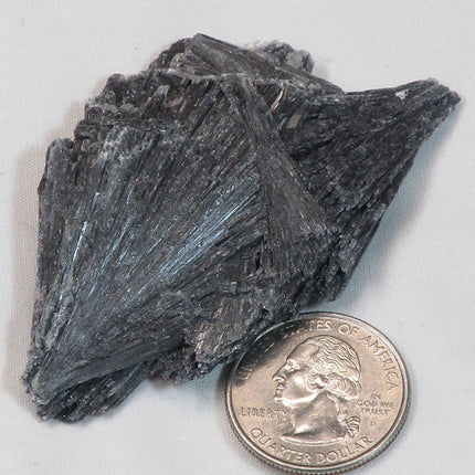 Black Kyanite Fan from Brazil