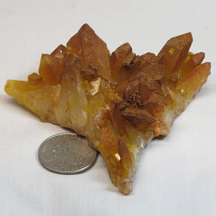 Natural Uncleaned Quartz Crystal Cluster from Arkansas