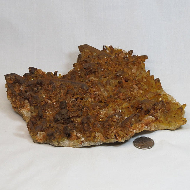 Natural Uncleaned Quartz Crystal Plate Cluster from Arkansas