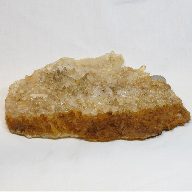 Natural Uncleaned Quartz Crystal Plate Cluster from Arkansas