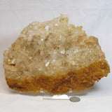 Natural Uncleaned Quartz Crystal Plate Cluster from Arkansas