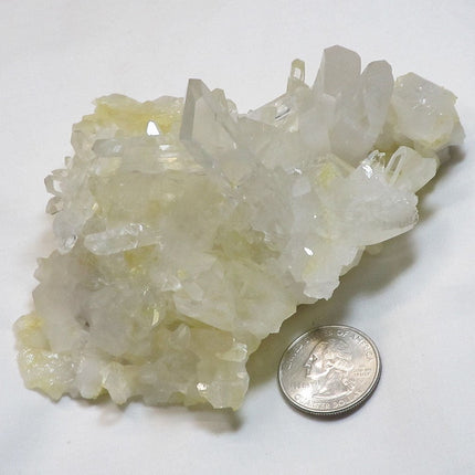 Lemon Healer Quartz Crystal Cluster from Arkansas
