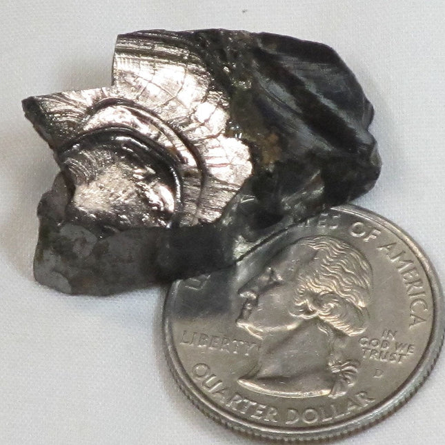 Elite Silver or Noble Shungite from Russia